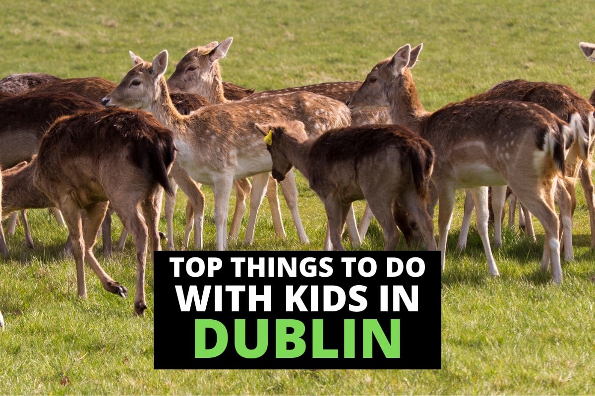 Dublin for Kids: A Guide to the Best Family Activities and Places to Visit